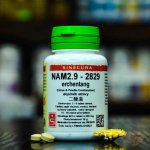 Sinecura NAM2.9 2829 60 tablet – Hledejceny.cz