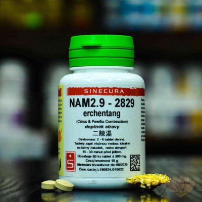Sinecura NAM2.9 2829 60 tablet – Hledejceny.cz