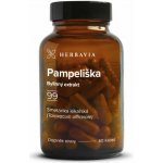 Swanson Pampeliška Dandelion Root 515 mg 60 kapslí – Hledejceny.cz