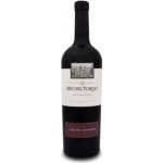 Michel Torino Cabernet Sauvignon 13,5% 0,75 l (holá láhev) – Hledejceny.cz