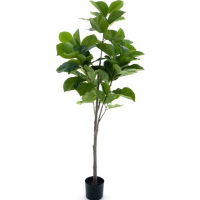 Fíkus - Ficus benghalensis v květináči zelený V170 cm (N520671)
