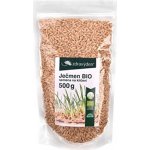 ZdravýDen Bio Ječmen semena na klíčení 0,5 kg – Zboží Dáma
