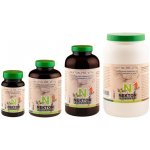 NEKTON Pre Vital+ 1 kg – Zboží Dáma