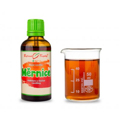 Bylinné kapky Měrnice Duše rostlin kapky tinktura 50 ml – Hledejceny.cz