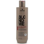 Schwarzkopf BlondME All Blondes Rich Shampoo 300 ml – Sleviste.cz