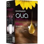 Garnier Olia 5.3 zlatá hnědá barva na vlasy – Hledejceny.cz