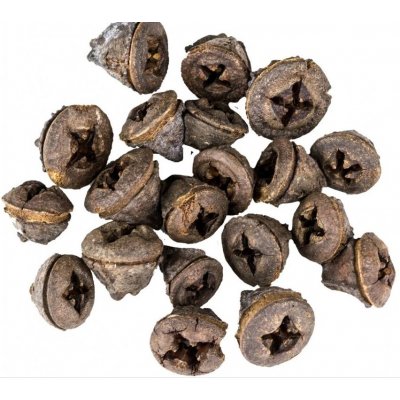 Eucalyptus pod natural 500 g – Zboží Dáma