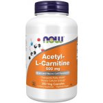Now Foods Acetyl-L-Karnitin ALC 500 mg 200 veg kapslí – Hledejceny.cz
