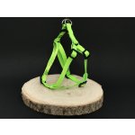 Palkar motýlek postroj pro psy – Zbozi.Blesk.cz