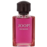Joop! Homme toaletní voda pánská 30 ml – Hledejceny.cz