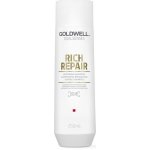 Goldwell Dualsenses Rich Repair Shampoo 250 ml – Hledejceny.cz