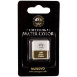Akvarel v půlpánvičce Mungyo 847 Raw sienna – Sleviste.cz