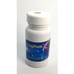 4betterlife Cogitum nová receptura 60 dávek 30 g – Hledejceny.cz