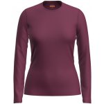 ICEBREAKER Wmns 200 Oasis LS Crewe Java – Hledejceny.cz