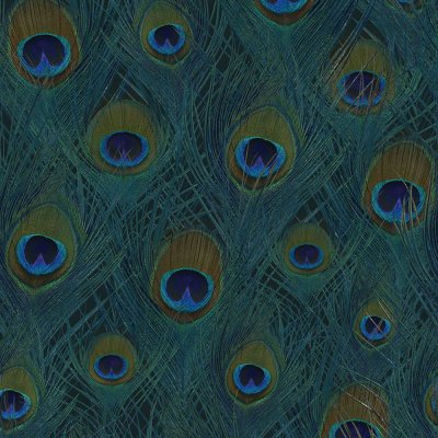 Origin 357245 Vliesová obrazová tapeta vzor paví pera 150 x 279 m – Zboží Mobilmania