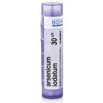 ARSENICUM IODATUM POR 15CH GRA 1X4G – Hledejceny.cz