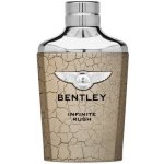 Bentley Infinite Rush toaletní voda pánská 100 ml – Hledejceny.cz