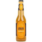 LokLok Kombucha Zázvor 330 ml – Hledejceny.cz