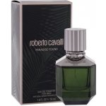 Roberto Cavalli Paradise Found toaletní voda pánská 50 ml – Hledejceny.cz