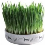 Trixie keramická miska na trávu pro kočky 15 x 4 cm – Zboží Dáma