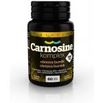 Salutem Carnosine komplex 900 mg 60 tablet – Hledejceny.cz