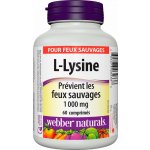 Webber Naturals L-lysine 1000 mg 60 tablet – Hledejceny.cz