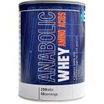 Body nutrition Whey anabolic amino 250 tablet – Hledejceny.cz