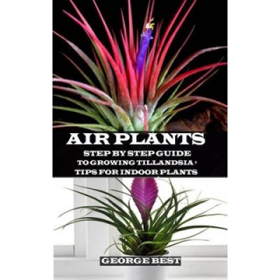 Air Plant: Step by Step Guide to Growing Tillandsia + Tips for Indoor Plants – Zboží Mobilmania