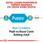 Royal Canin Bulldog Puppy 12 kg – Hledejceny.cz