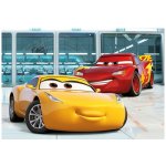 Dino WD Cars 3: Příprava 48 dílků – Zboží Mobilmania