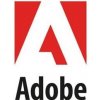DTP software Adobe Acrobat Standard 2020 CZ WIN, el.licence - 65324318AD01A00