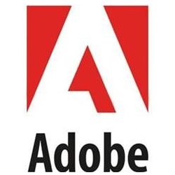 Adobe Acrobat Standard 2020 CZ WIN, el.licence - 65324318AD01A00