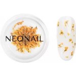 Neonail Dried Flowers sušený květ na nehty odstín Orange 1 ks – Zboží Mobilmania