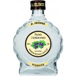 R. Jelínek Pálenka z černého rybízu 42% 0,2 l (holá láhev) – Sleviste.cz