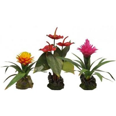 Lucky Reptile Jungle Plants Bromelie 3 květy červená 40 cm FP-64625 – Hledejceny.cz