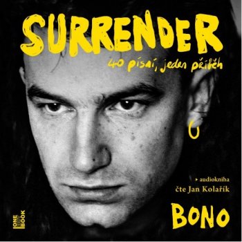 Bono: Surrender: 40 písní, jeden příběh