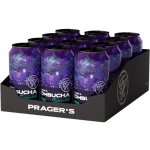 Prager's Kombucha Matcha 12 x 330 ml – Zboží Dáma