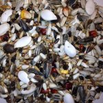 Avest Směs Velký papoušek 17 20 kg – Zbozi.Blesk.cz