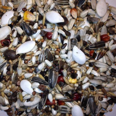 Avest Směs Velký papoušek 17 20 kg – Zbozi.Blesk.cz