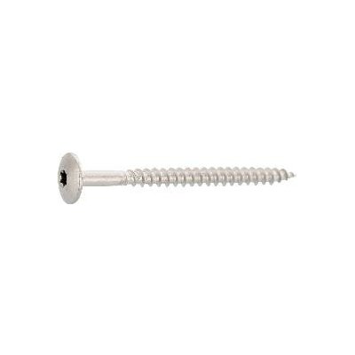 Trespo fasádní vrut s čočkovou hlavou 4,8x 38 Torx 20 nerez A2 (100 ks) – Hledejceny.cz