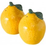 Boltze Sada slánky a pepřenky z kameniny Citronella, 2x 100 ml – Hledejceny.cz