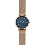 Skagen SKW2837 – Zbozi.Blesk.cz