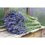 levandule-online.cz Kytice z levandule, levandulová kytice – Hledejceny.cz