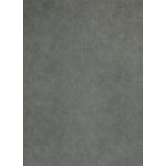 Breno Studio Casa Padua 599 tmavě šedý beton 400 cm 1 m² – Zbozi.Blesk.cz