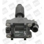 Zapalovací cívka BorgWarner (BERU) ZS308 – Hledejceny.cz