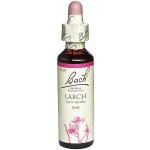 Bachovy květové esence kapky Larch Modřín opadavý 20 ml – Hledejceny.cz