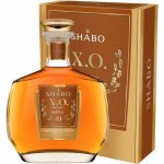 Aged Shabo brendy XO 10y 40% 0,5 l (kazeta) – Zboží Dáma