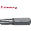 Bity Bit TORX T 40