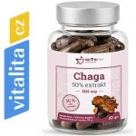 Nutricius Chaga 500 mg gummies 60 ks – Hledejceny.cz