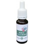 Bachovy esence Směs Klid a vnitřní krása 20 ml – Hledejceny.cz